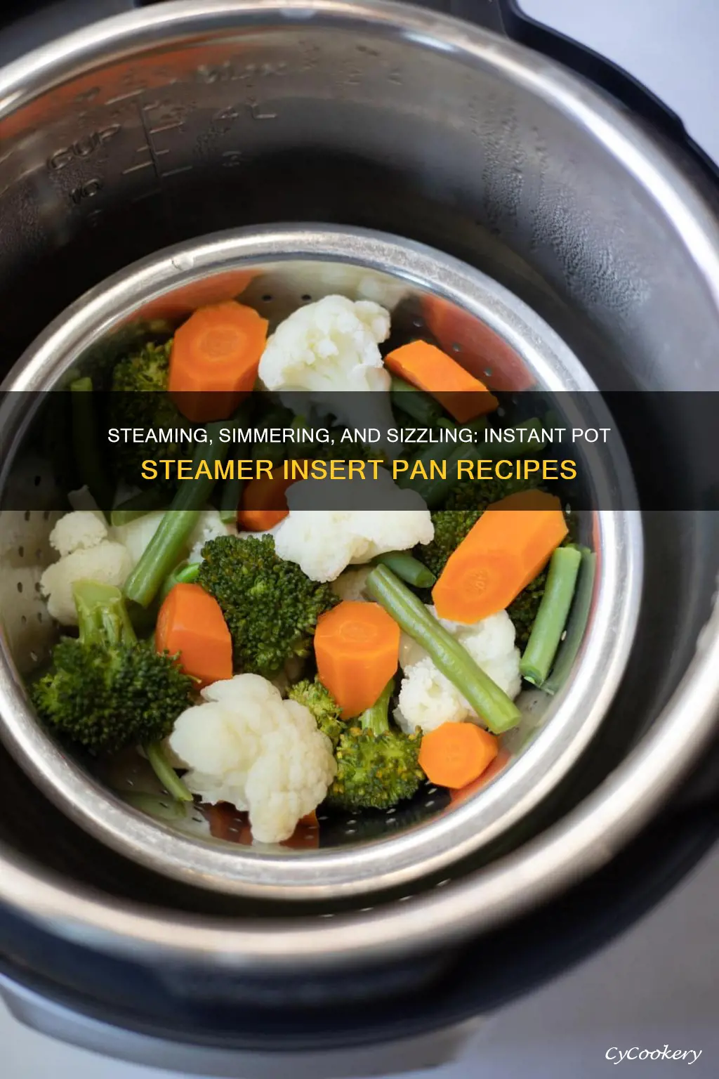 how to cook with instant pot steamer insert pan