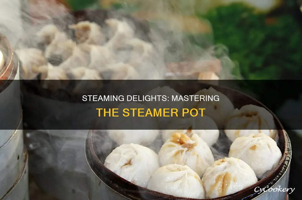 how to cook with steemer pot