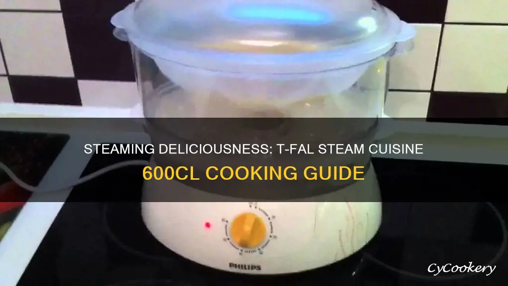 how to cook with tfal steam cuisine 600cl