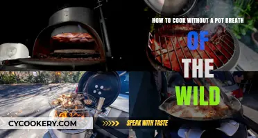 Cooking in the Wild: No Pot, No Problem!