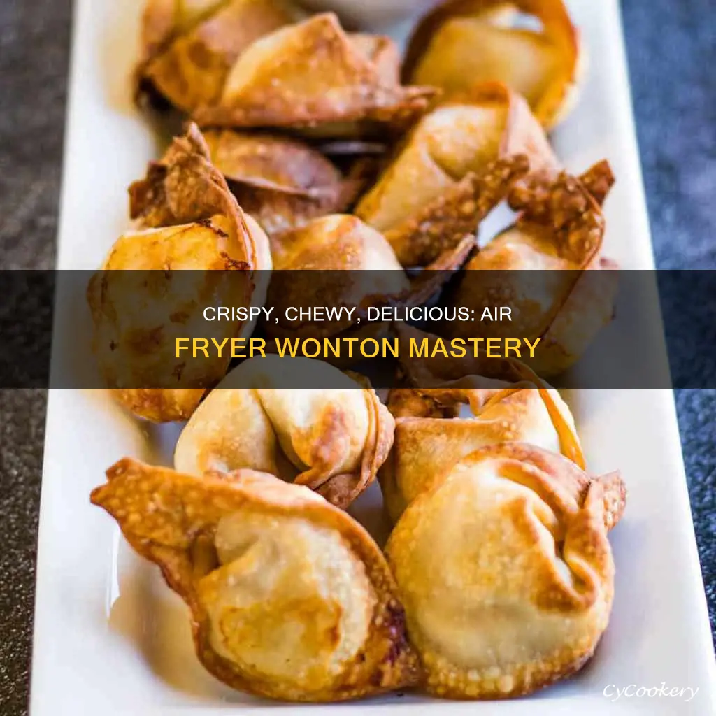 how to cook wonton in air fryer