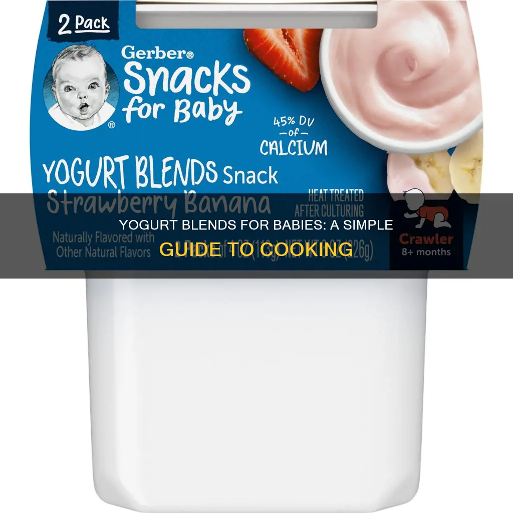 how to cook yogurt blends for babies