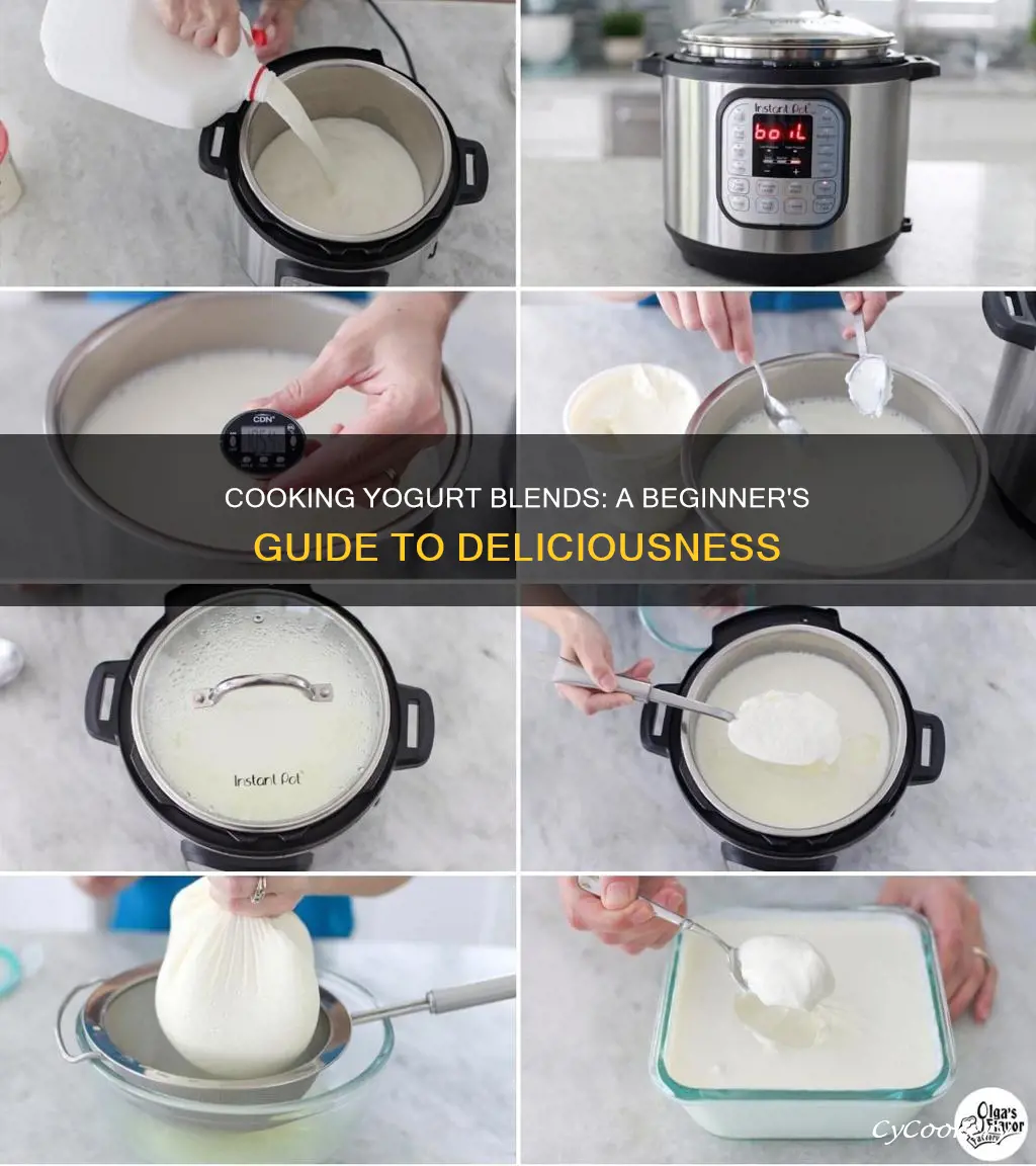 how to cook yogurt blends