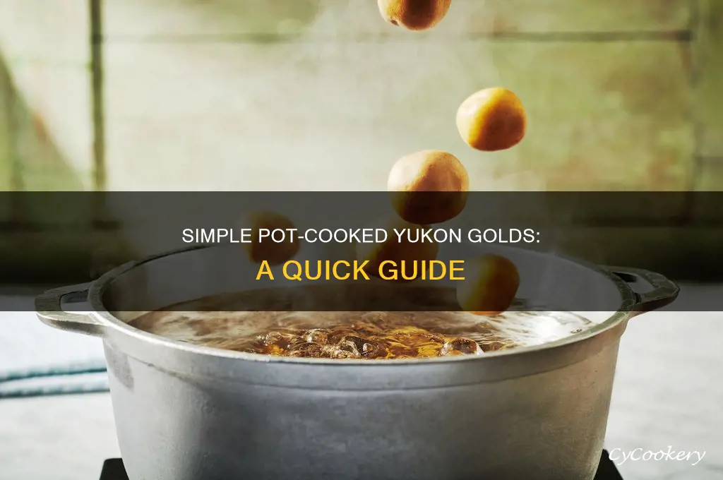 how to cook yucon gold potatoes in a pot