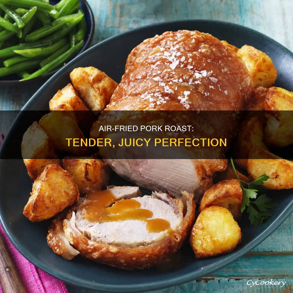 how to cooking pork roast in air fryer rostisser