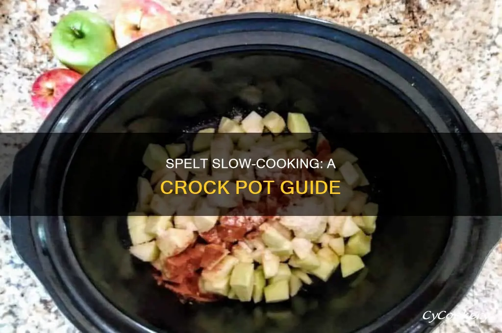 how to cooking spelt crock pot
