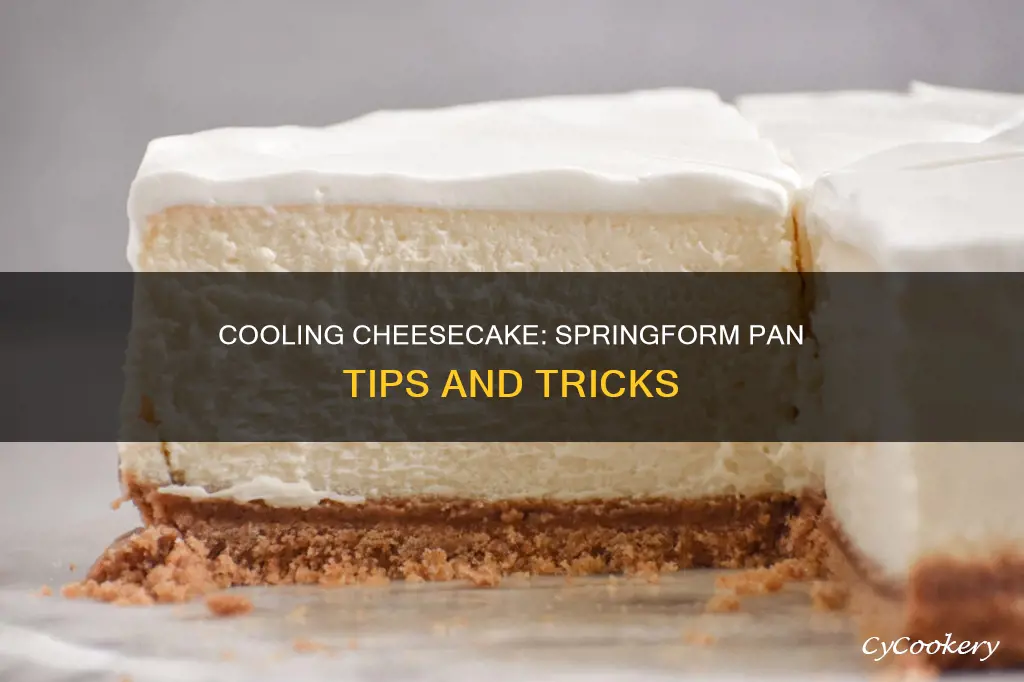 how to cool a cheesecake in a springform pan