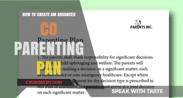 Creating a Successful Co-Parenting Plan: Advanced Strategies
