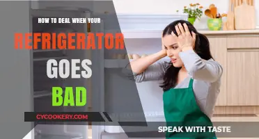 Chill Out: Troubleshooting Tips for a Malfunctioning Fridge