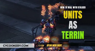 Dealing with Stalker Units: A Terrin's Guide to Survival