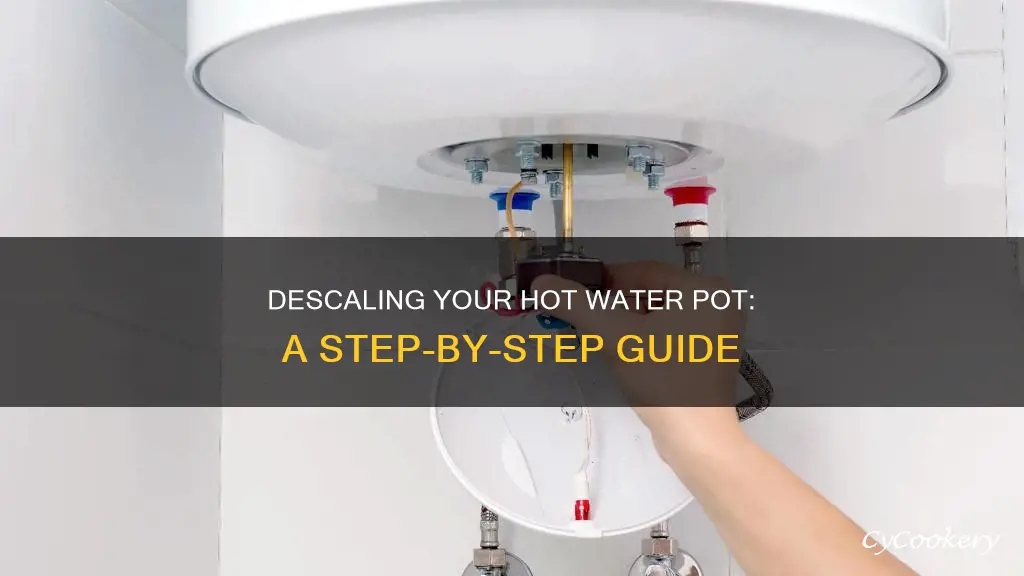 how to decalcify hot water pot