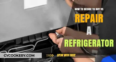 Refrigerator Dilemma: Repair or Replace? A Cost-Benefit Analysis
