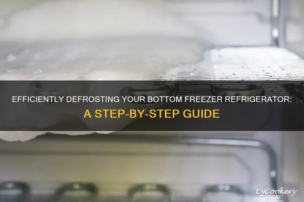 how to defrost a bottom freezer refrigerator