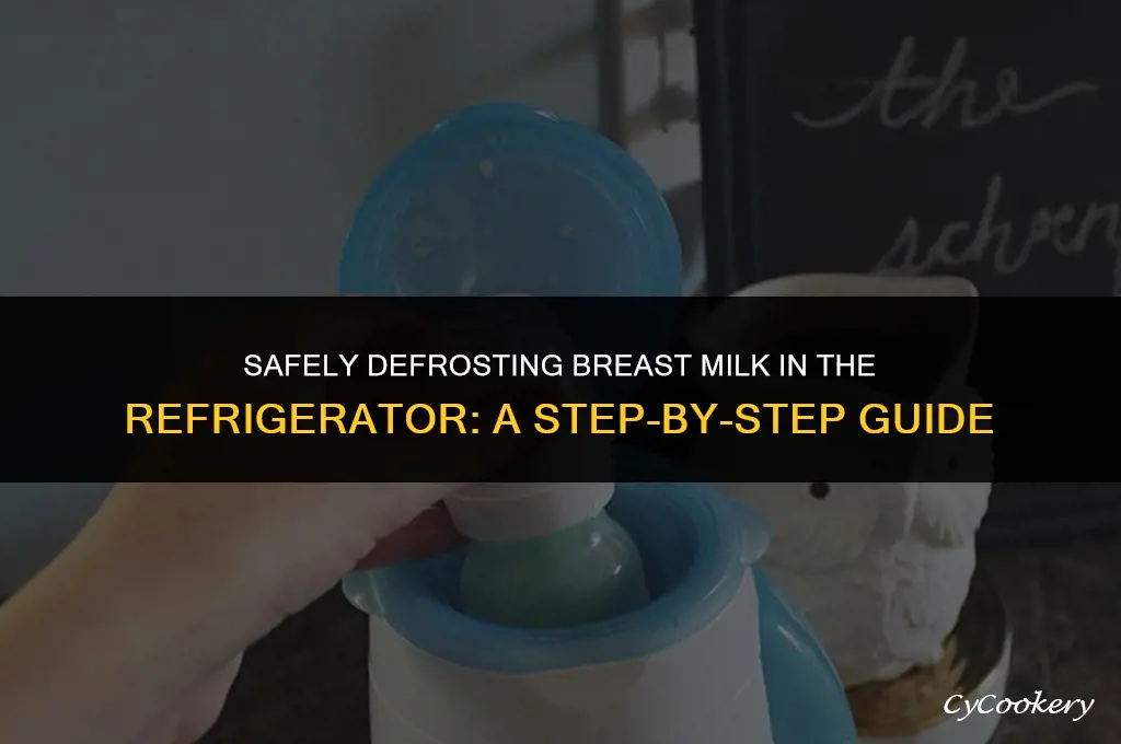 how to defrost breast milk in the refrigerator