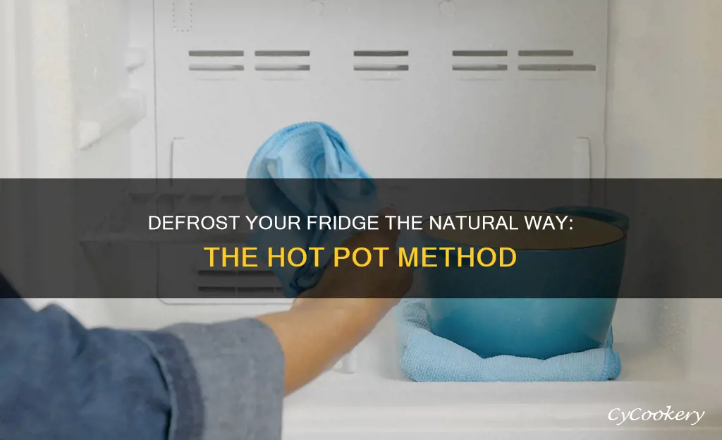 how to defrost fridge hot pot of water