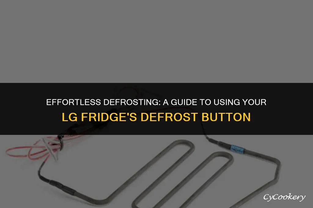 how to defrost lg refrigerator with defrost button