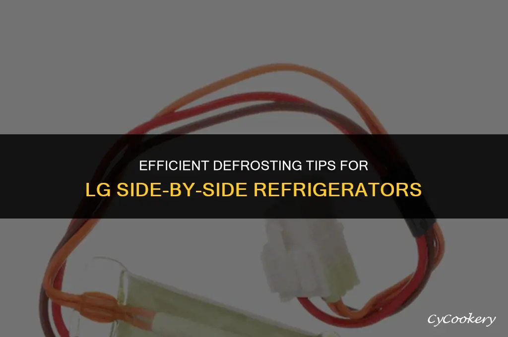 how to defrost lg side by side refrigerator