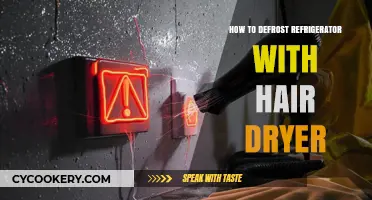 Quickly Defrost Your Fridge Using a Hair Dryer: Step-by-Step Guide