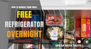 Quick Tips: Defrosting Your Frost-Free Fridge Overnight