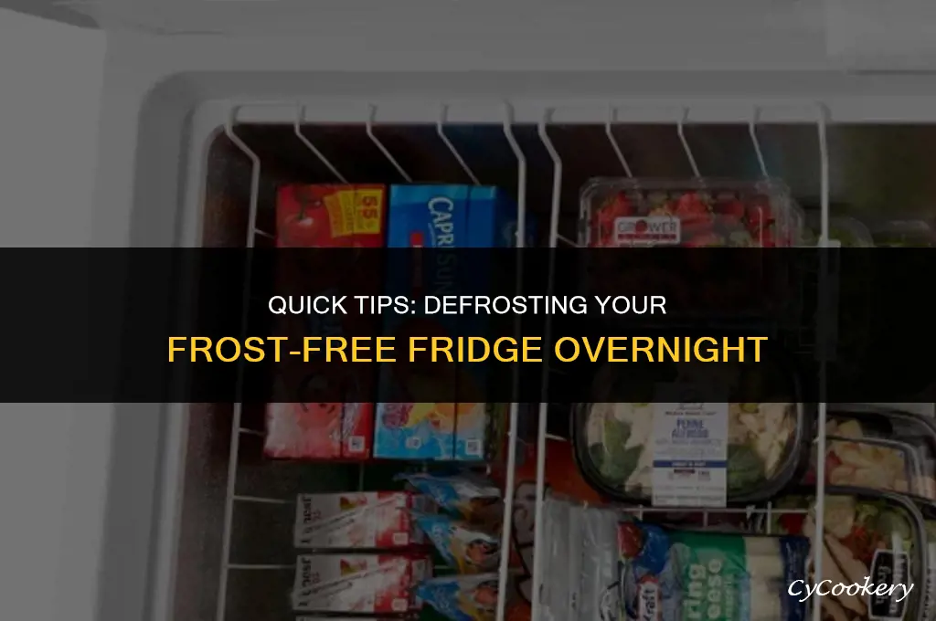 how to defrost your frost free refrigerator overnight