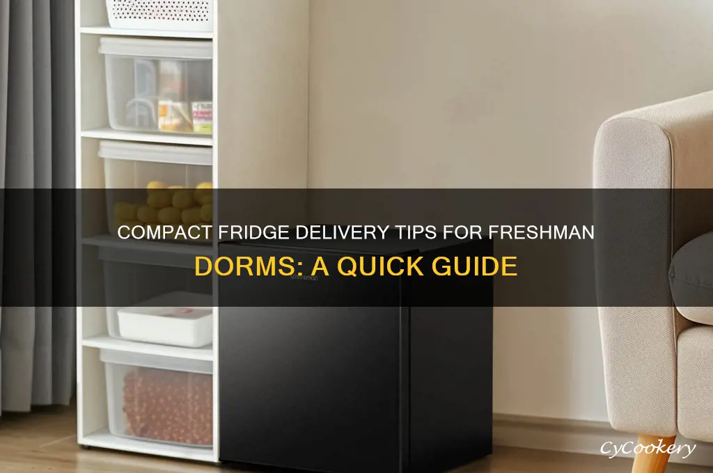 how to deliver a compact refrigerator freshman dorm