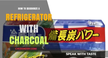 Freshen Your Fridge: Charcoal Tips to Deodorize Refrigerators Naturally