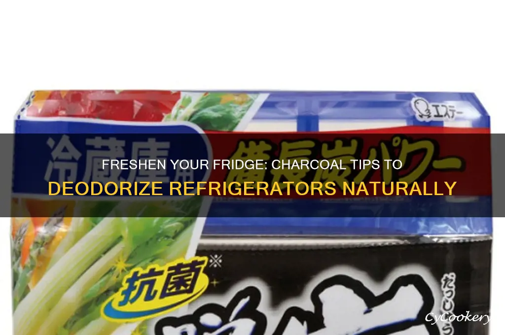 how to deodorize a refrigerator with charcoal