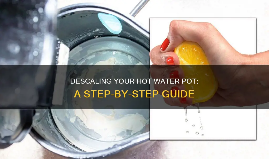 how to descale a hot water pot