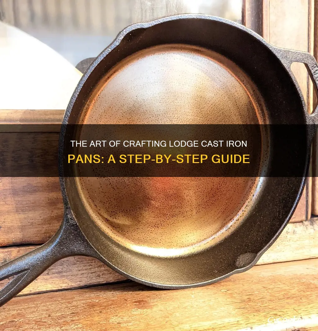 how to design lodge cast iron pan