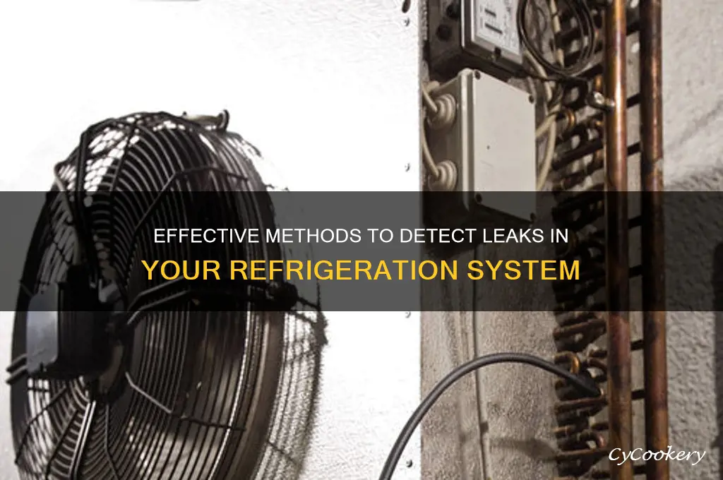 how to detect leak in refrigeration system
