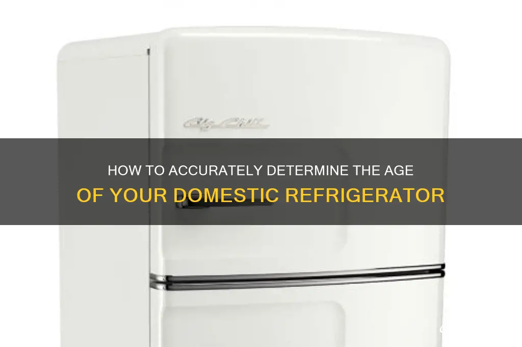 how to determine age if dometic refrigerator