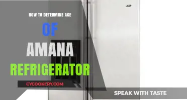 Determining Your Amana Refrigerator's Age: A Quick Guide