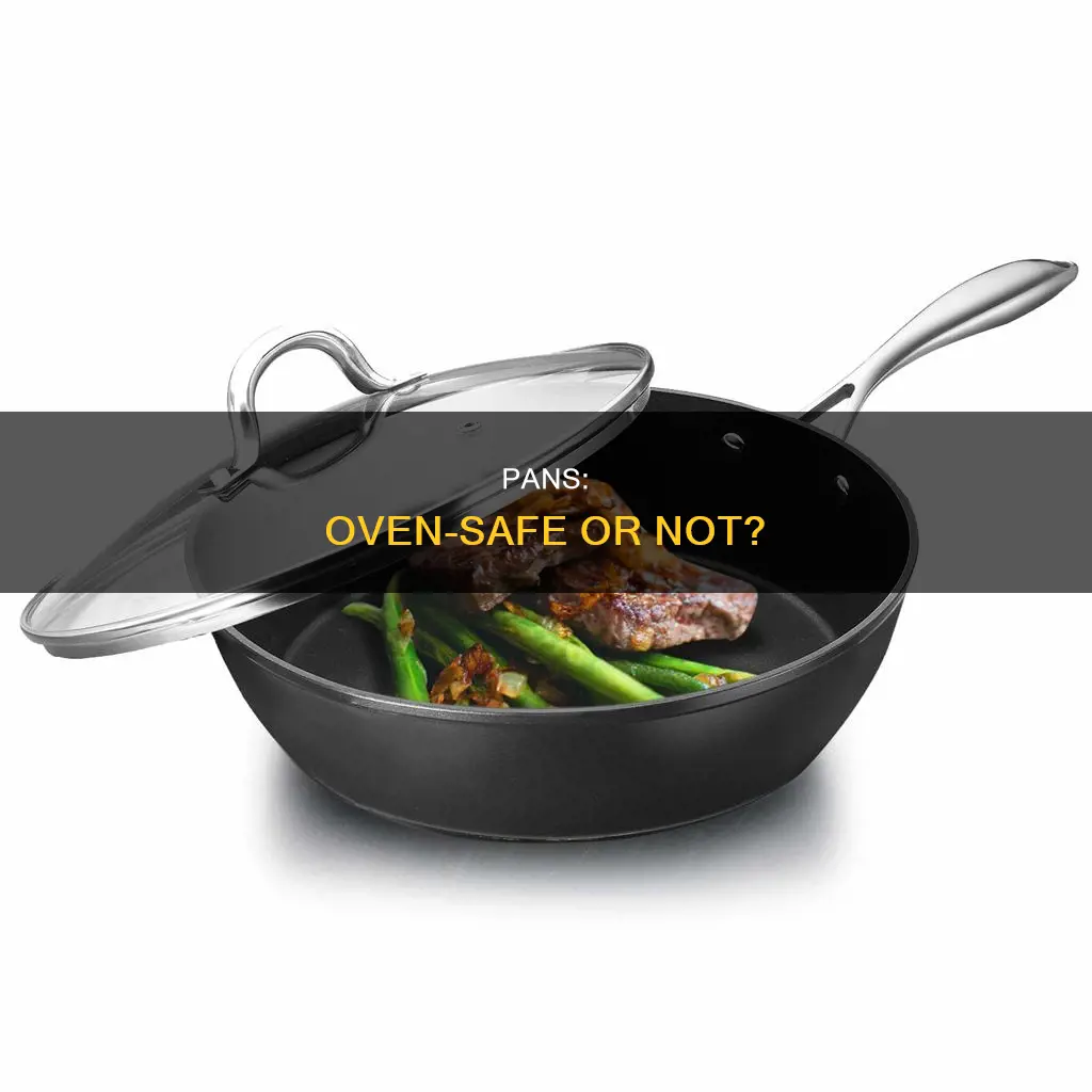 how to determine if pans are oven safe leaftvleaftv