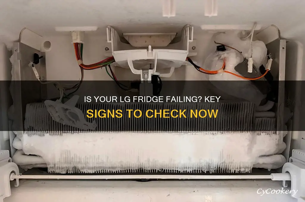 how to determine if your lg refrigerator