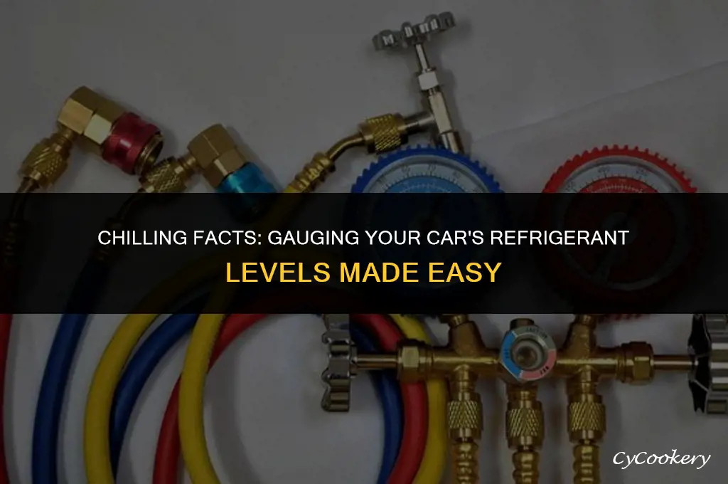 how to determine the amount of refrigerant in car