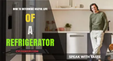 Assessing Your Refrigerator's Lifespan: A Practical Guide