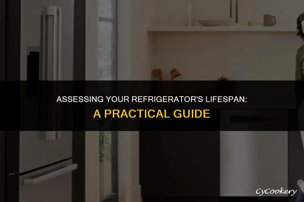 how to determine useful life of a refrigerator
