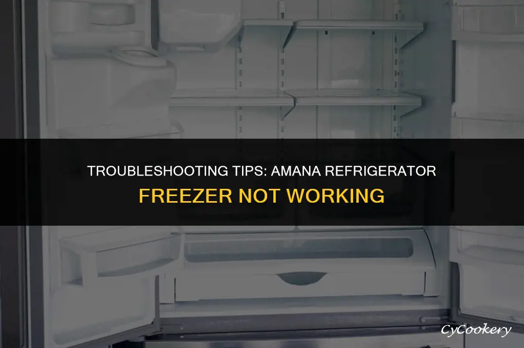 how to diagnose an amana refrigerator freezer not working