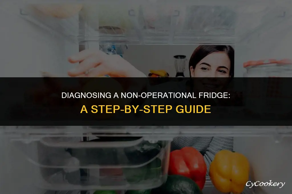 how to diagnose refrigerator not running at all