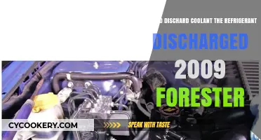Eco-Friendly Coolant Discharge: A 2009 Forester Guide