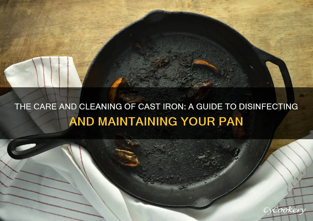 how to disinfect cast iron pan