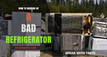 Eco-Friendly Ways to Dispose of Your Old, Faulty Refrigerator