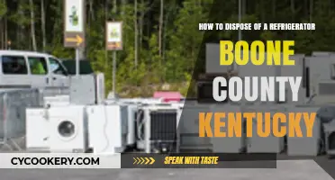 Eco-Friendly Fridge Disposal in Boone County, Kentucky