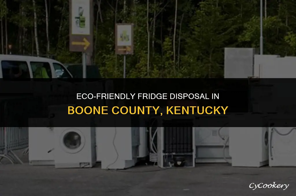 how to dispose of a refrigerator boone county kentucky