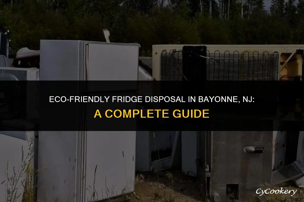 how to dispose of a refrigerator in bayonne nj