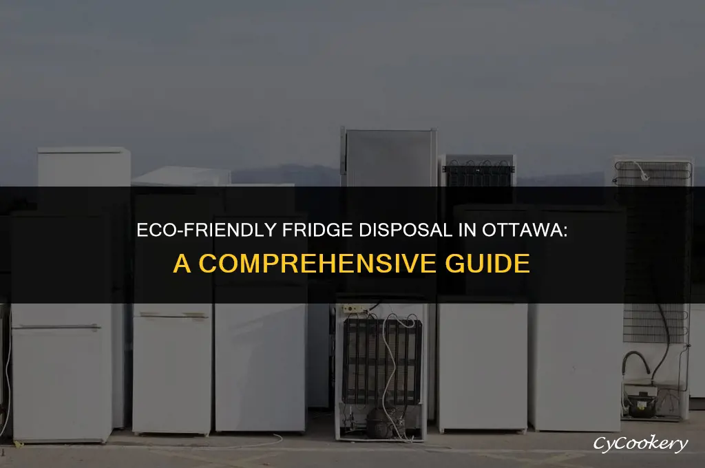 how to dispose of a refrigerator in ottawa