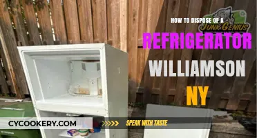 Eco-Friendly Fridge Disposal in Williamson, NY: A Comprehensive Guide