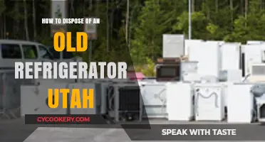 Eco-Friendly Disposal: A Guide to Recycling Your Old Fridge in Utah