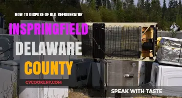 Eco-Friendly Fridge Disposal in Springfield, Delaware County