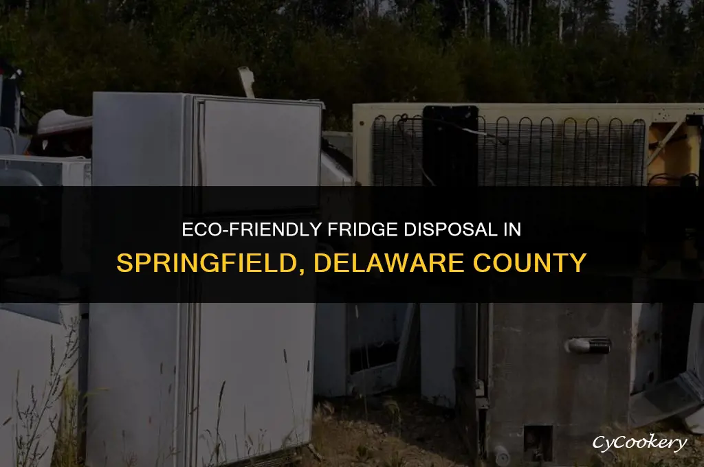 how to dispose of old refrigerator inspringfield delaware county